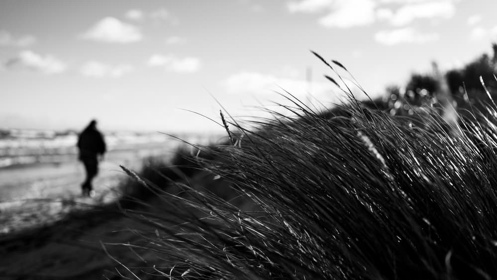 Solitary Coastal Walk by Stefan Buder — canvas wall art