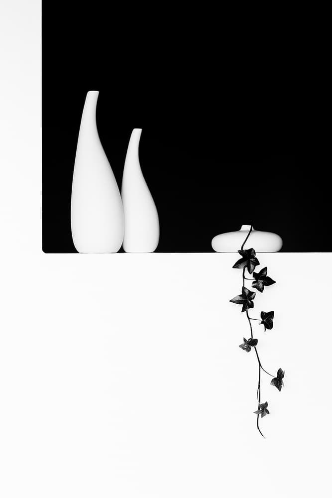Elegant Vases Ivy by Kristina Oveckova — canvas wall art