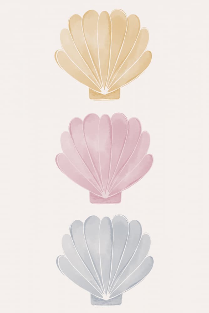Pastel Scallop Shells