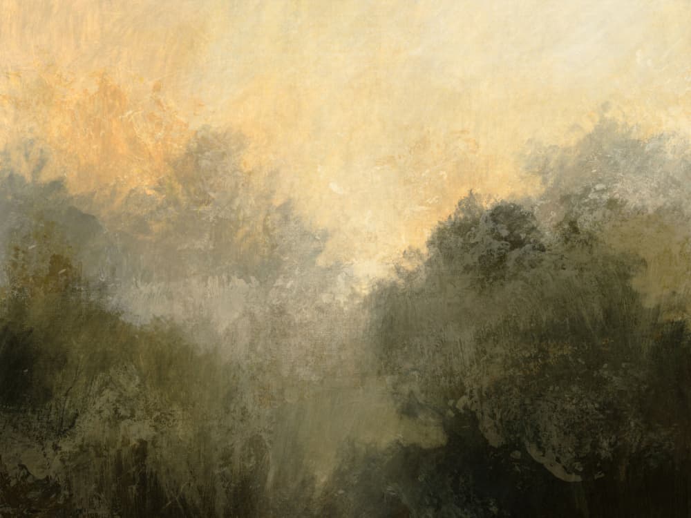 Devon Wood by Dan Hobday — canvas wall art