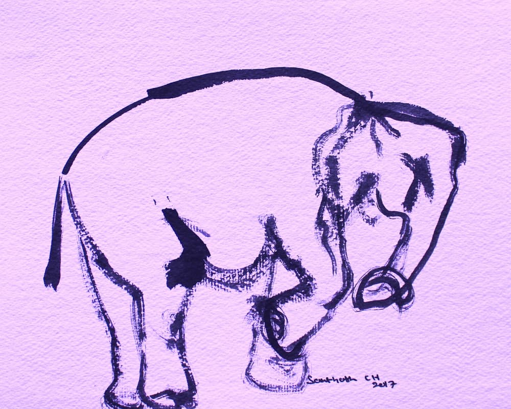 Gentle Elephant Ink by Santhosh ch — canvas wall art