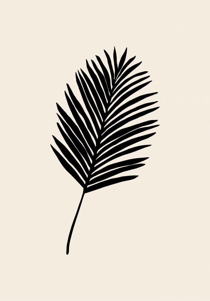 Minimal Palm Leaf by Pictufy Studio — canvas wall art