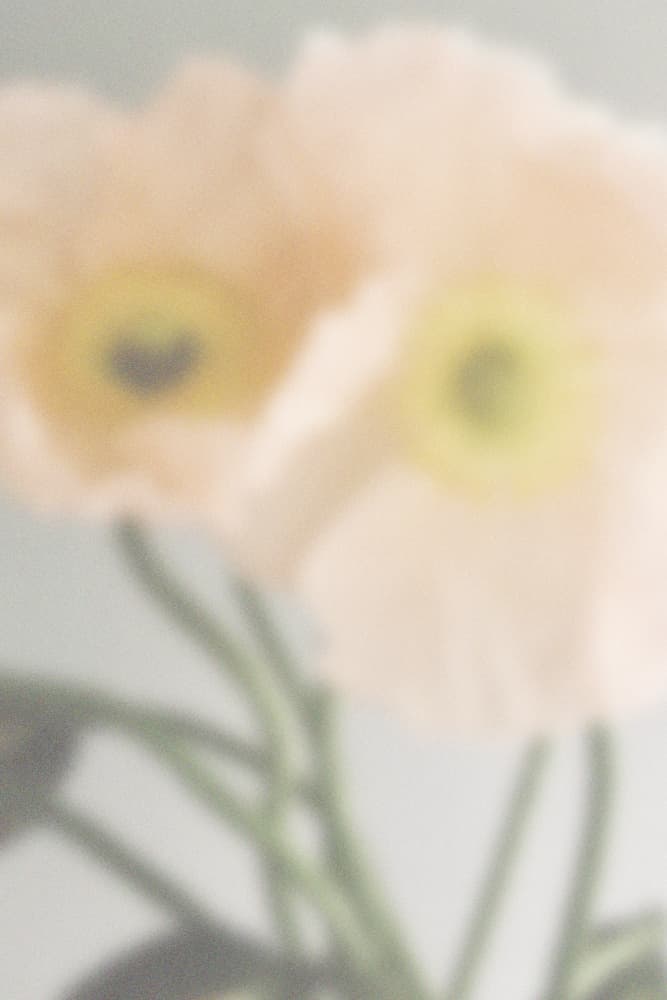 Soft Pastel Flowers by Frida Floral Studio — canvas wall art