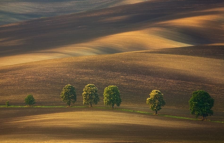 Sunlit Rolling Fields by Krzysztof Browko — canvas wall art