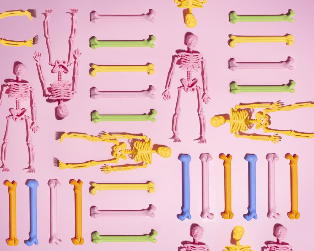 Vibrant Skeleton Pattern by Julia Ramiro — canvas wall art