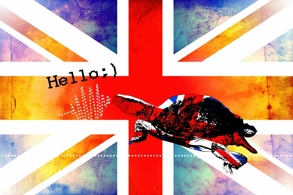 Union Jack Turtle Hello by Rafal Kulik — canvas wall art