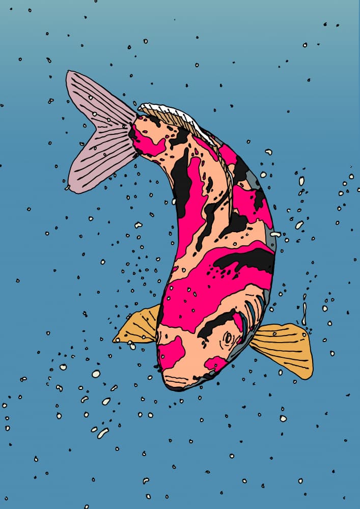 Vibrant Swimming Koi by Nicholas — canvas wall art