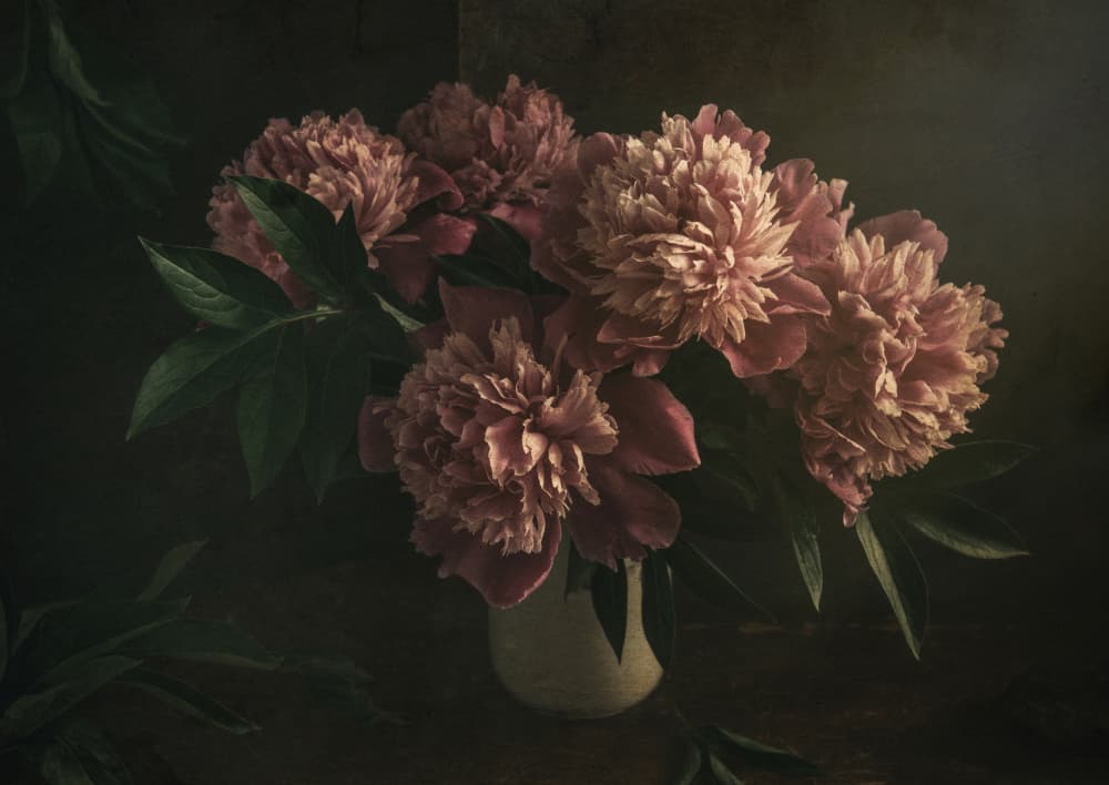 Elegant Pink Peonies by Igor Tokarev — canvas wall art