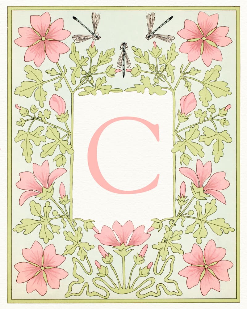 Botanical Initial C by Wild Violets — canvas wall art