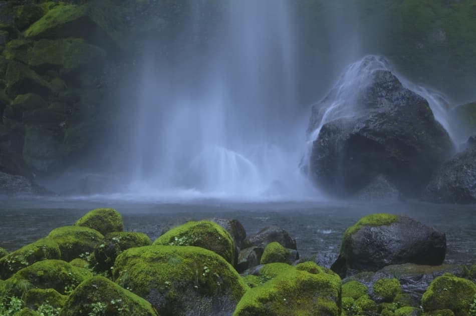 Misty Mossy Waterfall by Hong Zeng — canvas wall art