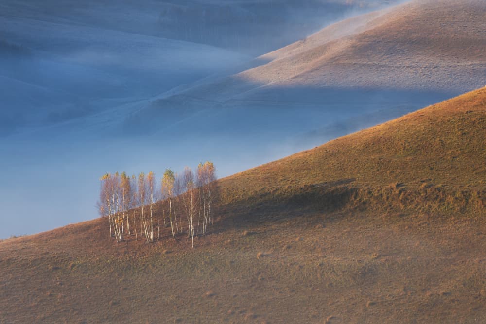 Misty Autumn Hills by Alexandru Ionut Coman — canvas wall art