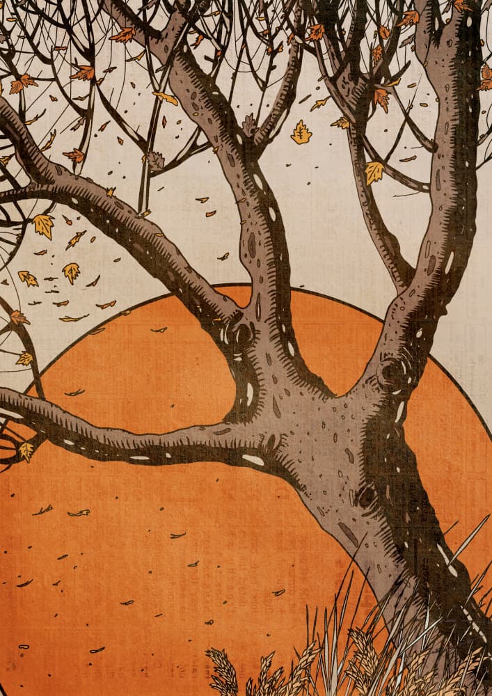 Autumn Tree Sunset by Nicholas — canvas wall art