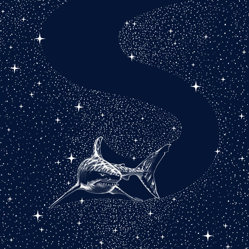 Great White Galaxy by Alirıza ÇAKIR — canvas wall art