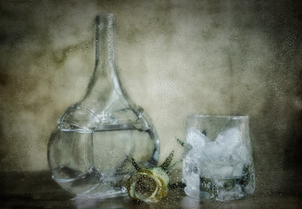 Rainy Day Still Life by Fran Osuna — canvas wall art