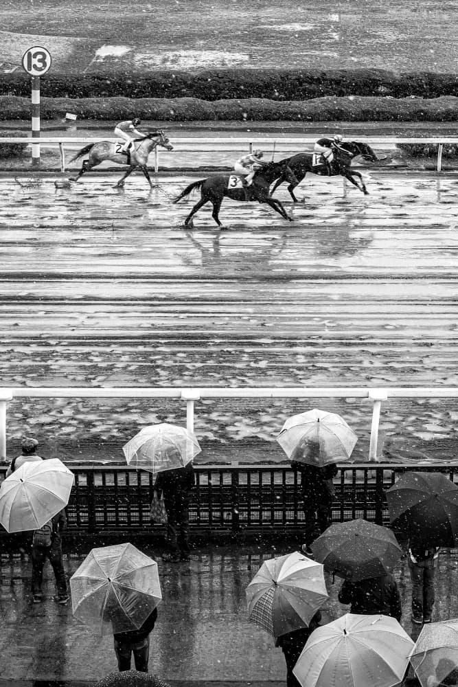 Wet Race Day by Takashi Hasegawa — canvas wall art