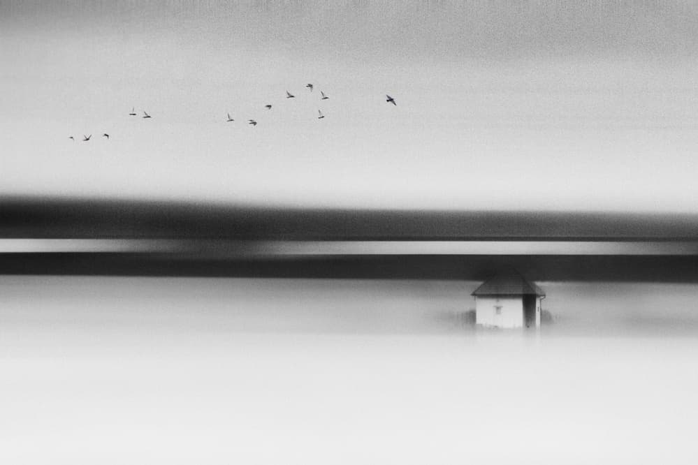 Solitary House Flight by Marchevca Bogdan — canvas wall art