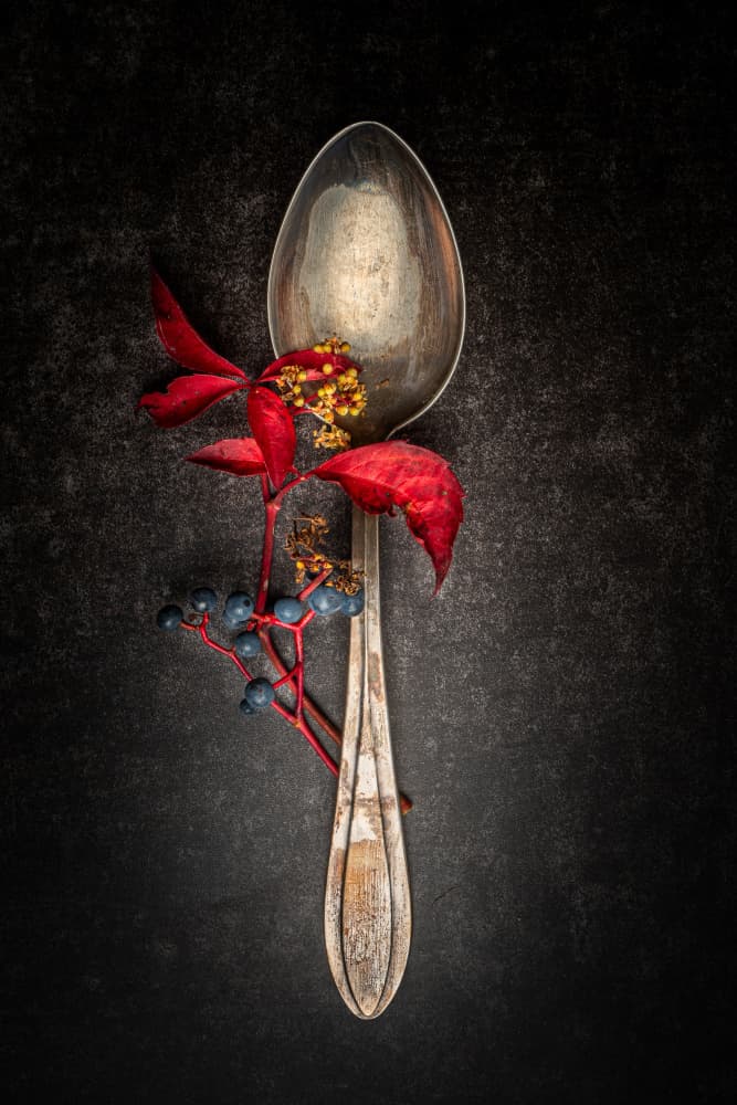 Autumn Spoon and Berries by Ruth Franke — canvas wall art