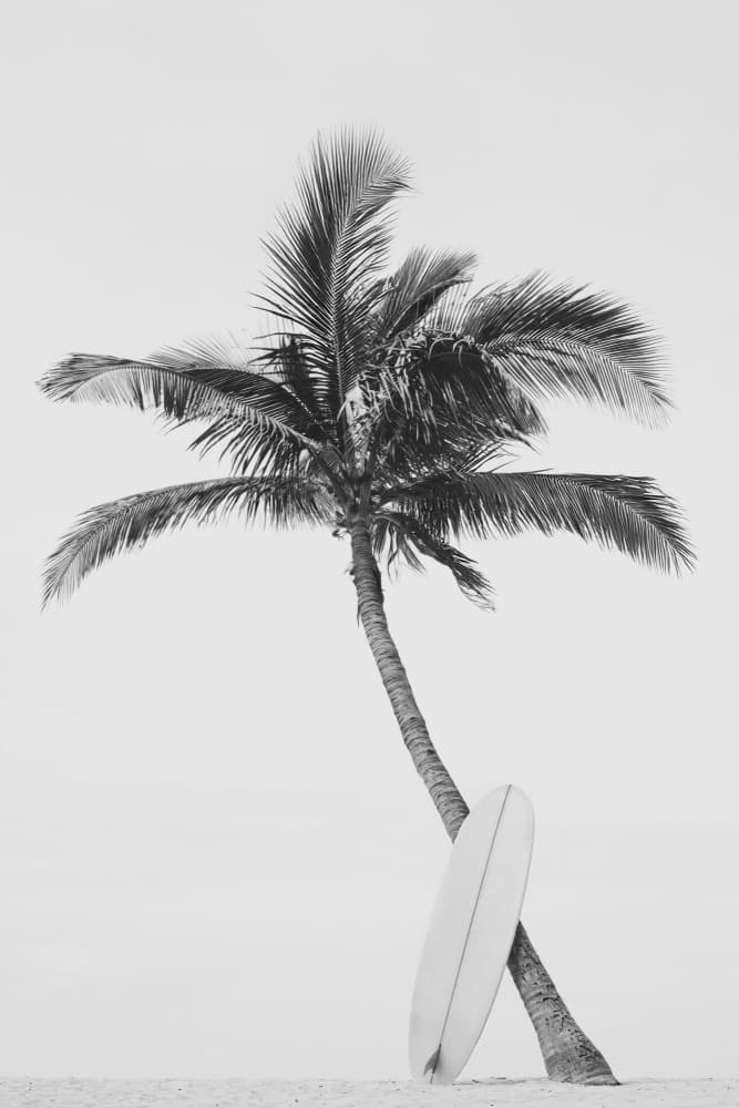 Palm Surfboard by Kathrin Pienaar — canvas wall art