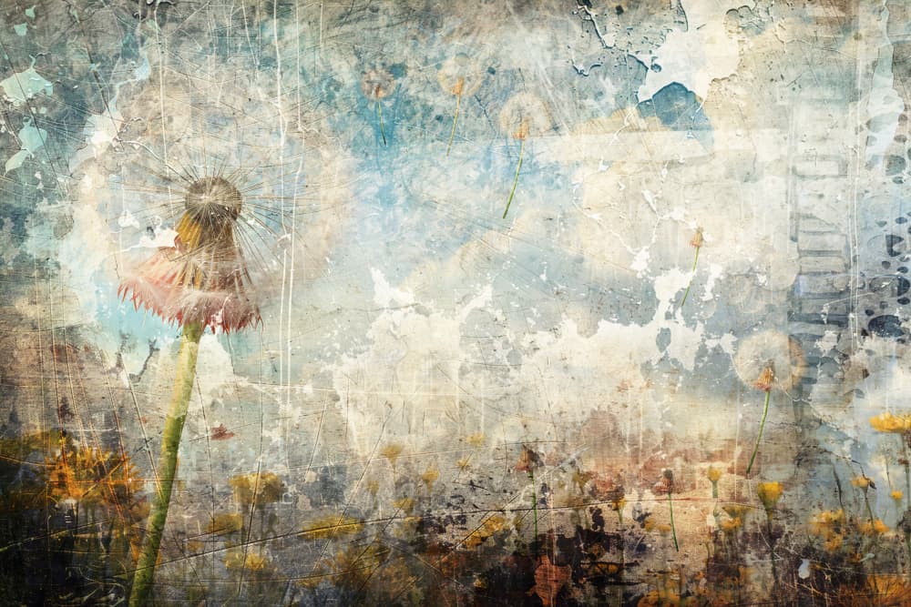 Vintage Dandelion Field by Rafal Kulik — canvas wall art