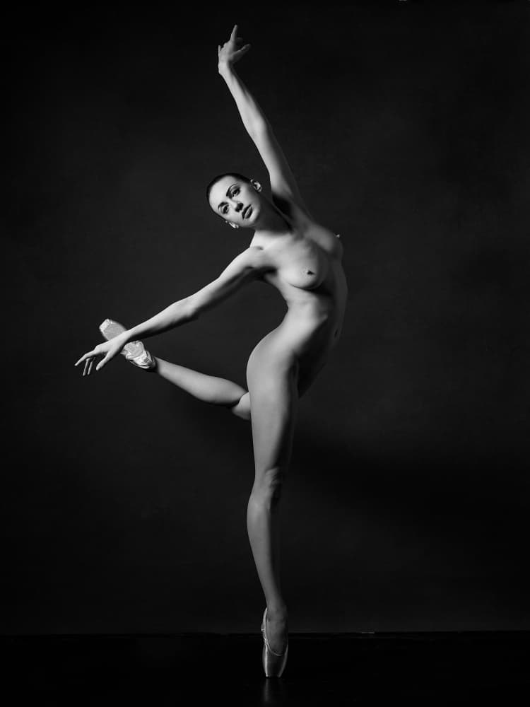 Ballet by Zanna — canvas wall art