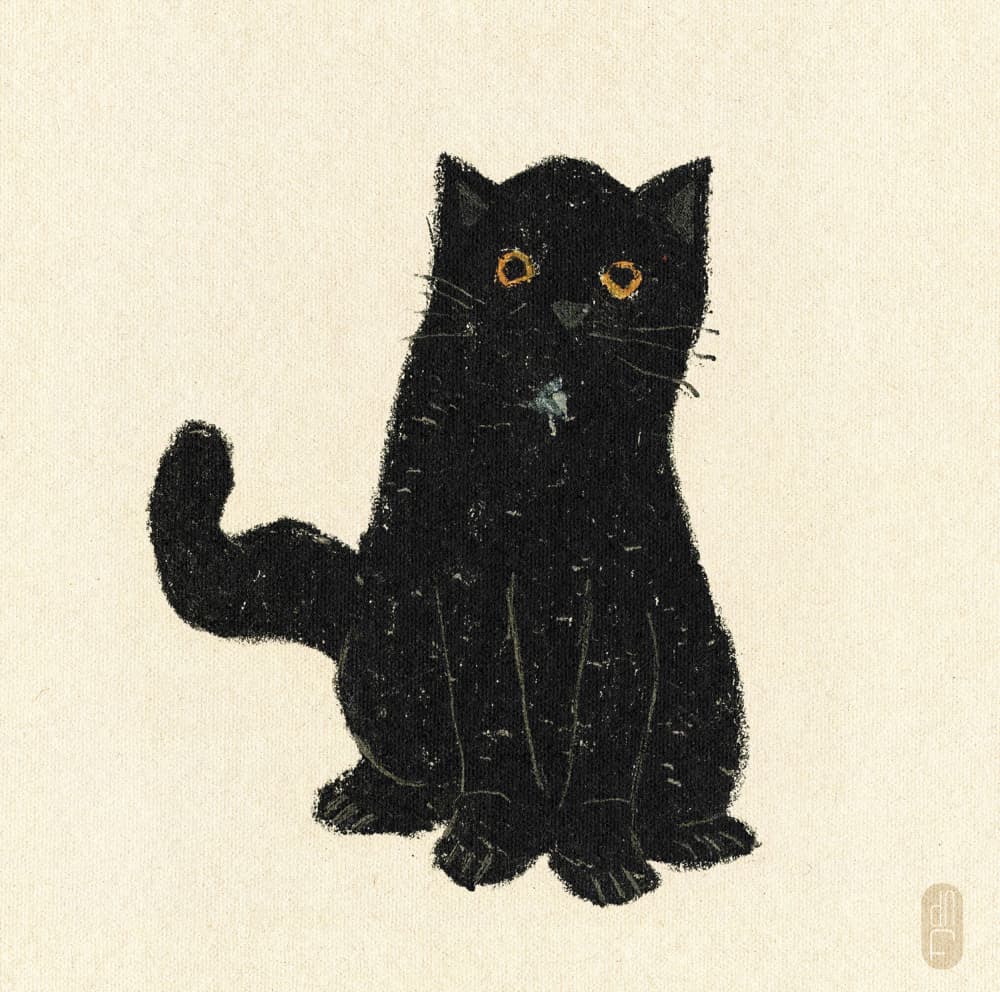 Charming Black Cat by Dianne Nicole Fernando — canvas wall art