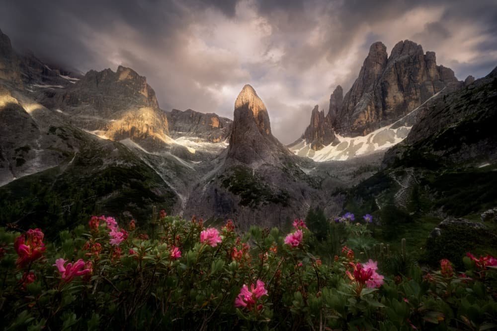 Dramatic Mountain Valley Bloom by Martin Morávek — canvas wall art