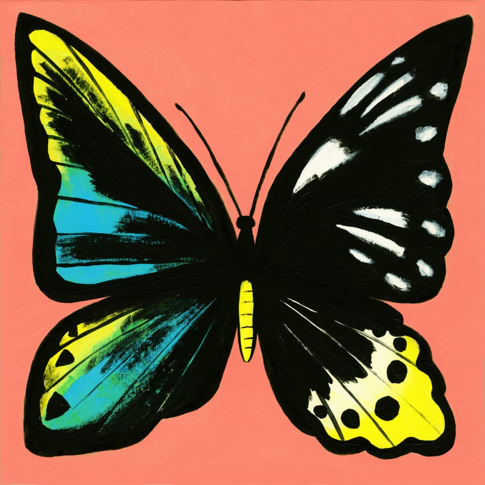 Vibrant Butterfly Wings by Katy Tanis — canvas wall art