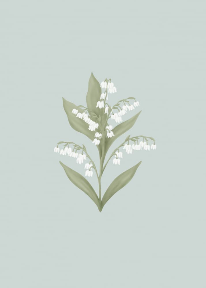 Lily Of The Valley Bloom by Aminah Eleonora — canvas wall art
