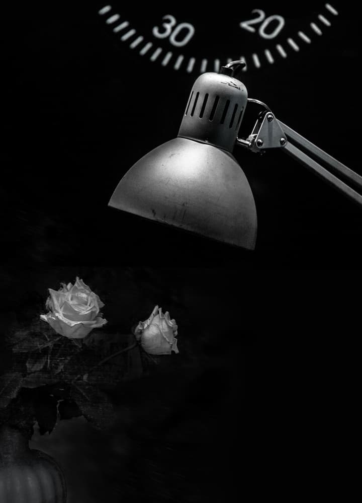 white roses by Gilbert Claes — canvas wall art