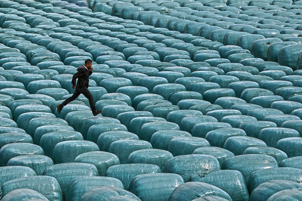Leaping Over Blue Bales by Emine Basa — canvas wall art