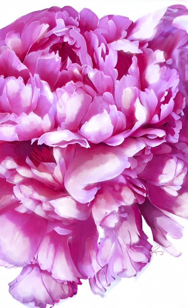 Soft Pink Peony by Ruth Day — canvas wall art