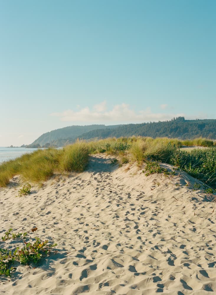 Coastal Sand Dunes by Bethany Young — canvas wall art