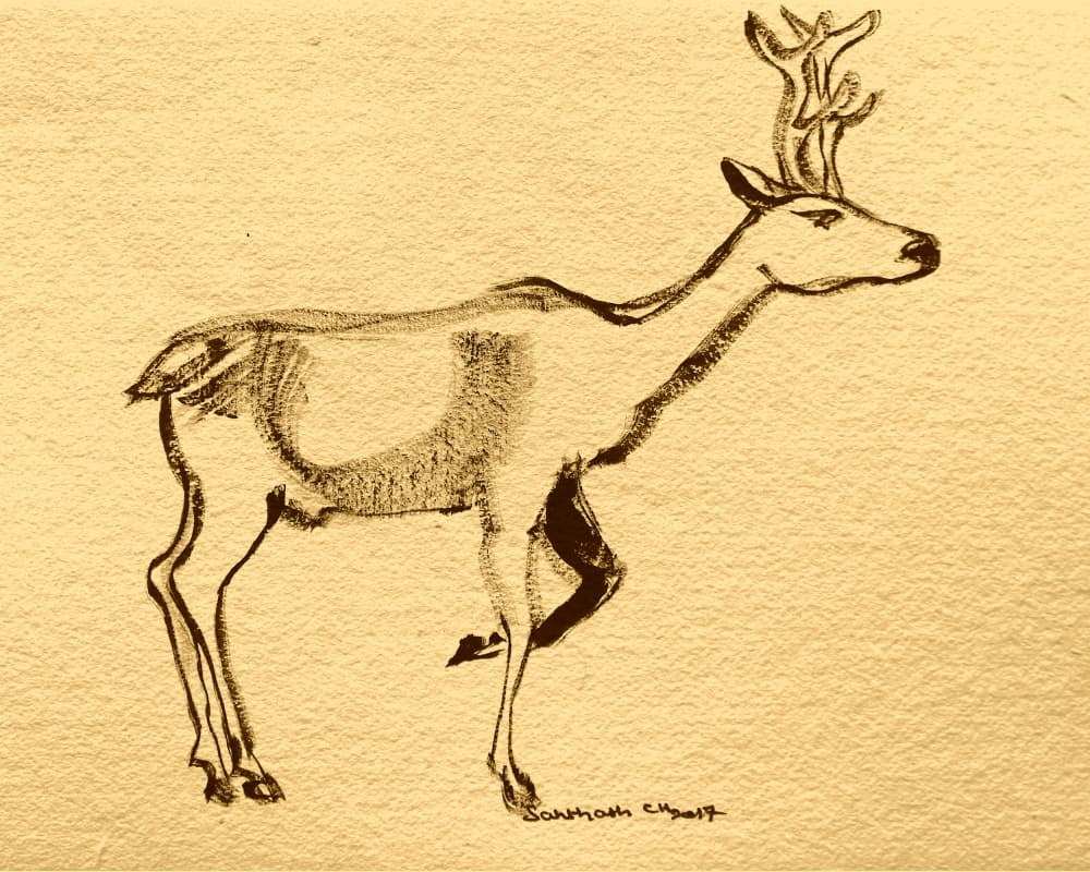 Elegant Woodland Stag by Santhosh ch — canvas wall art