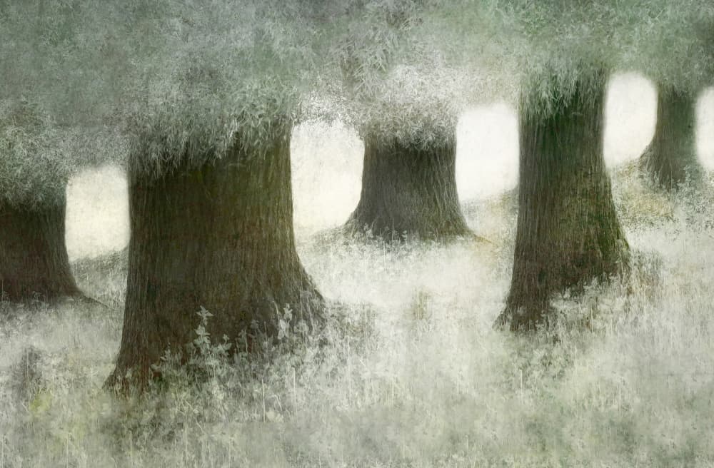Connected by Nel Talen — canvas wall art