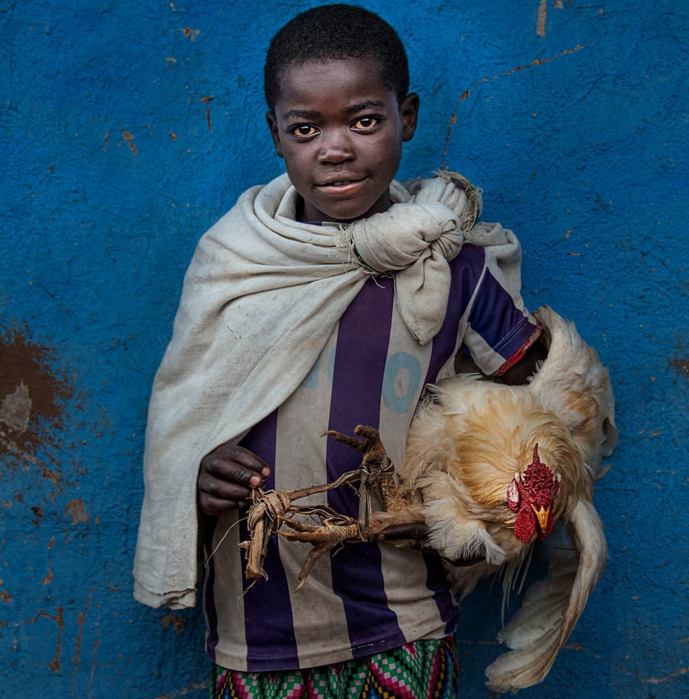 Boy Chicken Blue Portrait by Joxe Inazio Kuesta Garmendia — canvas wall art