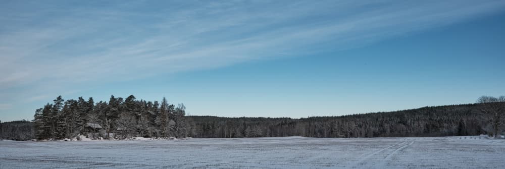 Vast Winter Forest Panorama by Geertjan Plooijer — canvas wall art