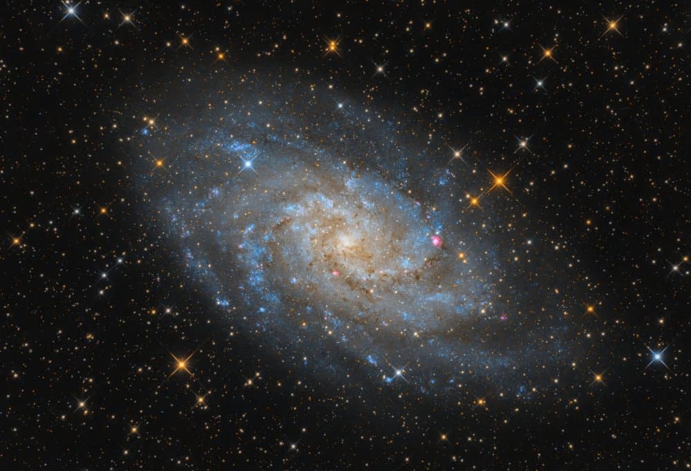 Luminous Spiral Galaxy by Michael Kalika — canvas wall art