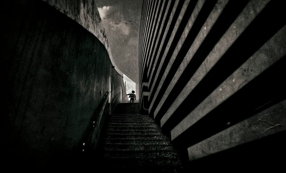 Child's Hopeful Ascent by Wim Schuurmans — canvas wall art