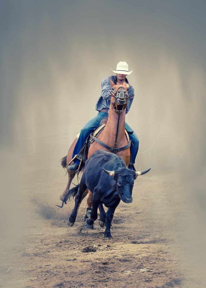 Western Cowboy Action by Ti Wang — canvas wall art