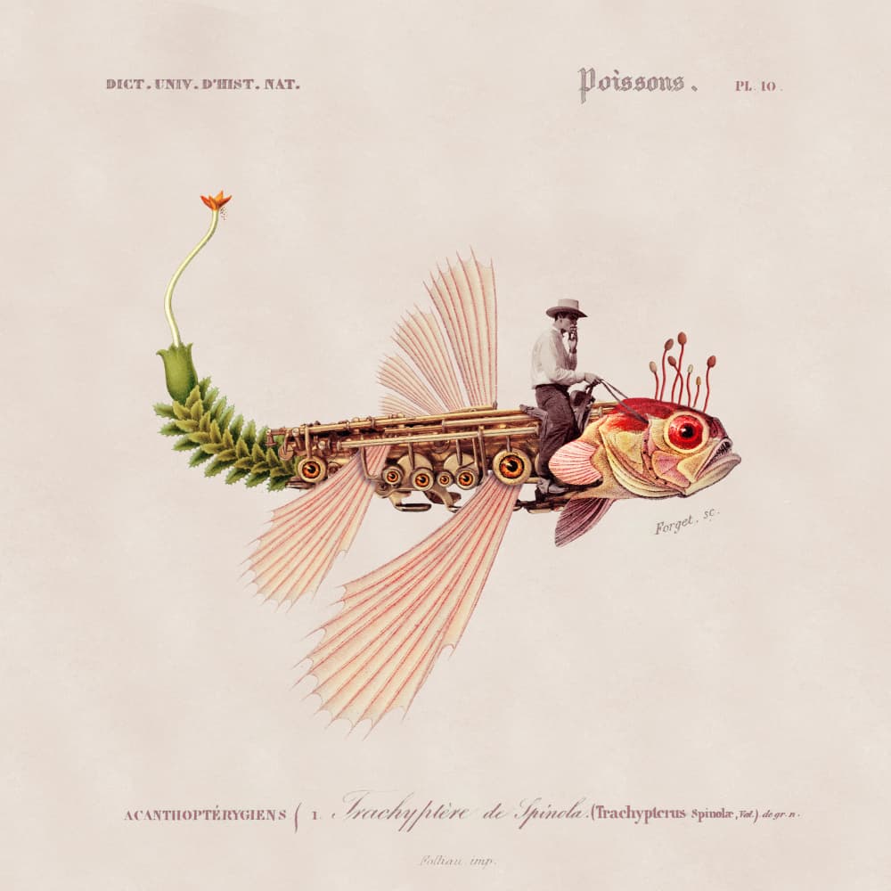 Steampunk Fish Rider
