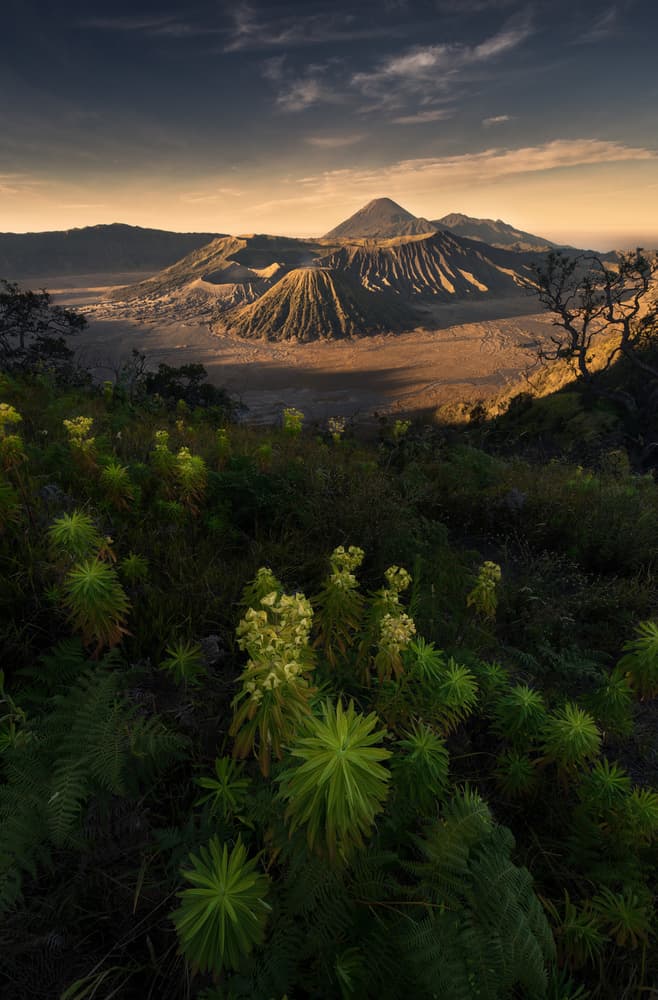 Majestic Bromo Volcano by MiracleGuo — canvas wall art