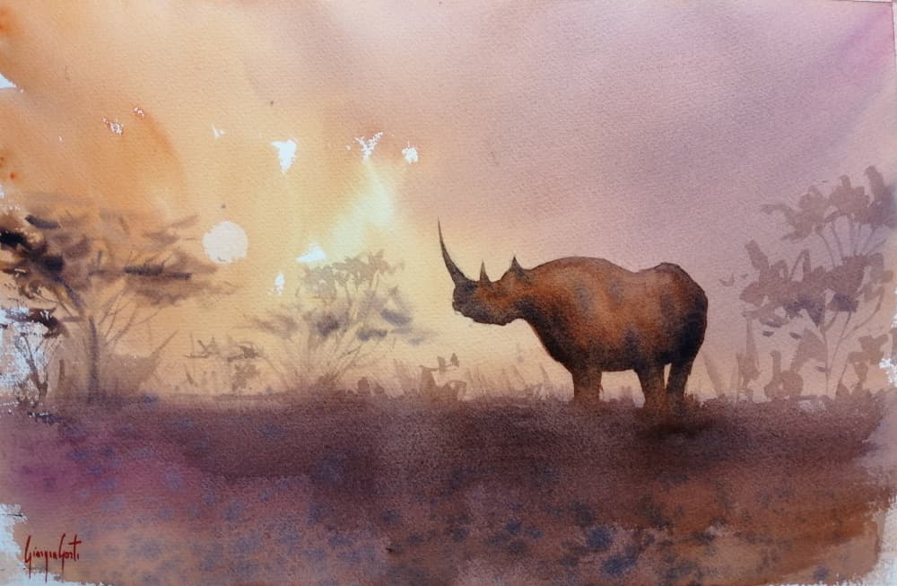 African Rhino Sunset by Giorgio Gosti — canvas wall art