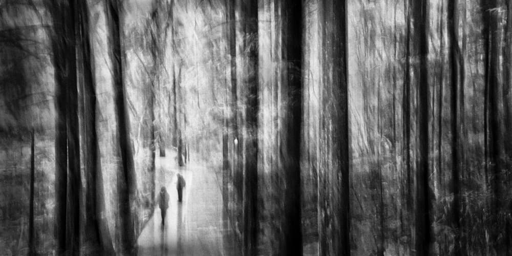 Blurred Forest Walk by Xiaohong Zhang — canvas wall art