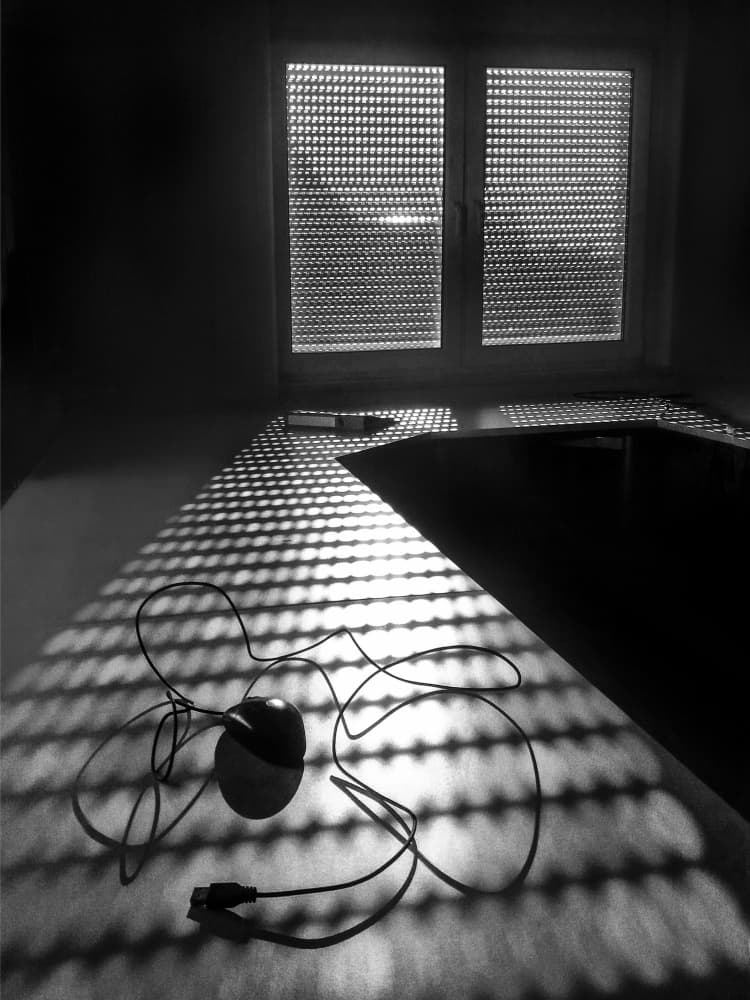 Mouse in Patterned Light by Holger Goehler — canvas wall art