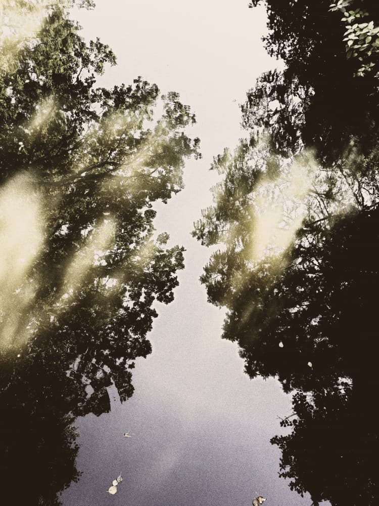 Nature's Mirrored Sky by Angelo Cerantola — canvas wall art