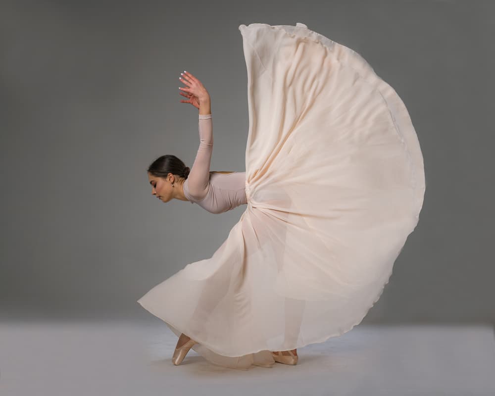 Graceful Ballet Movement by Aneta Nikolova — canvas wall art