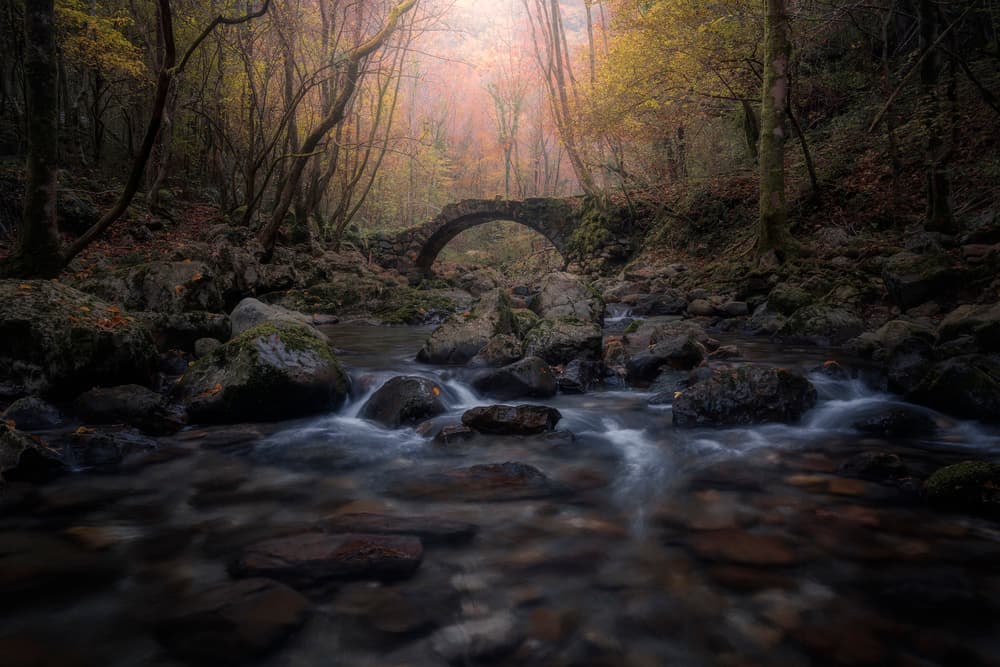Autumn Forest Stone Bridge by Thomas de Franzoni — canvas wall art