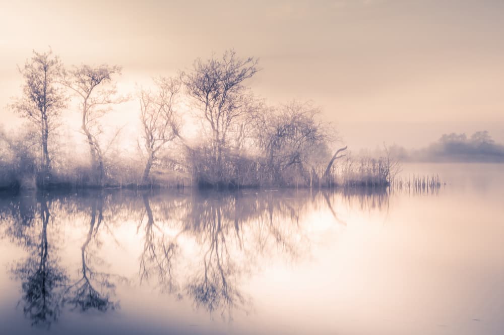 Misty Lake Reflections by Ina Bouhuijzen — canvas wall art