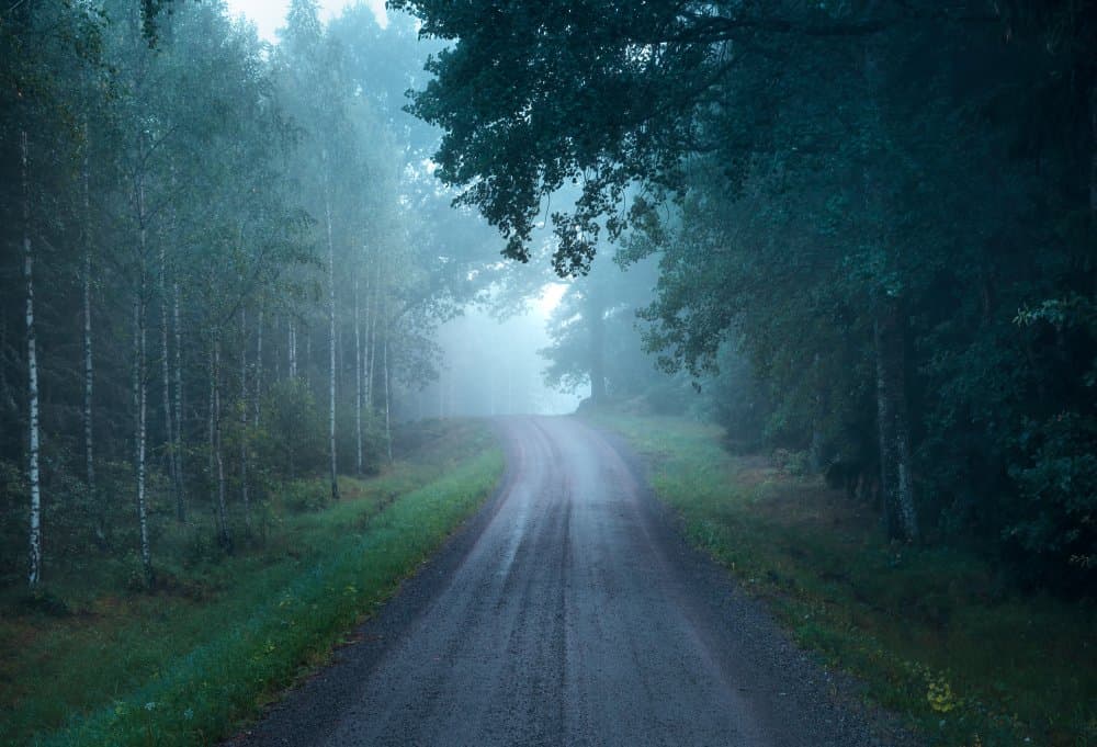 Misty Forest Road by Christian Lindsten — canvas wall art