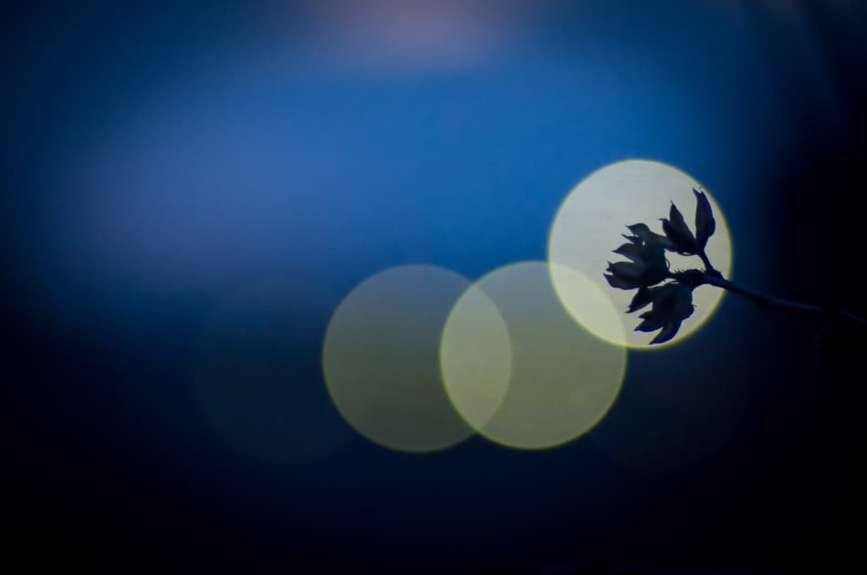 Silent Night Bokeh by Kouji Tomihisa — canvas wall art